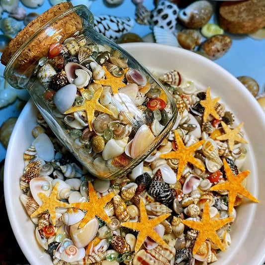 Luxxe | Sea Treasures in a Bottle