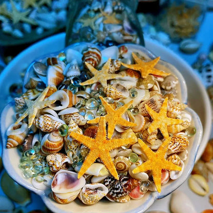 Luxxe | Sea Treasures in a Bottle